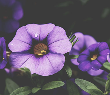 ddos攻击在哪能买到